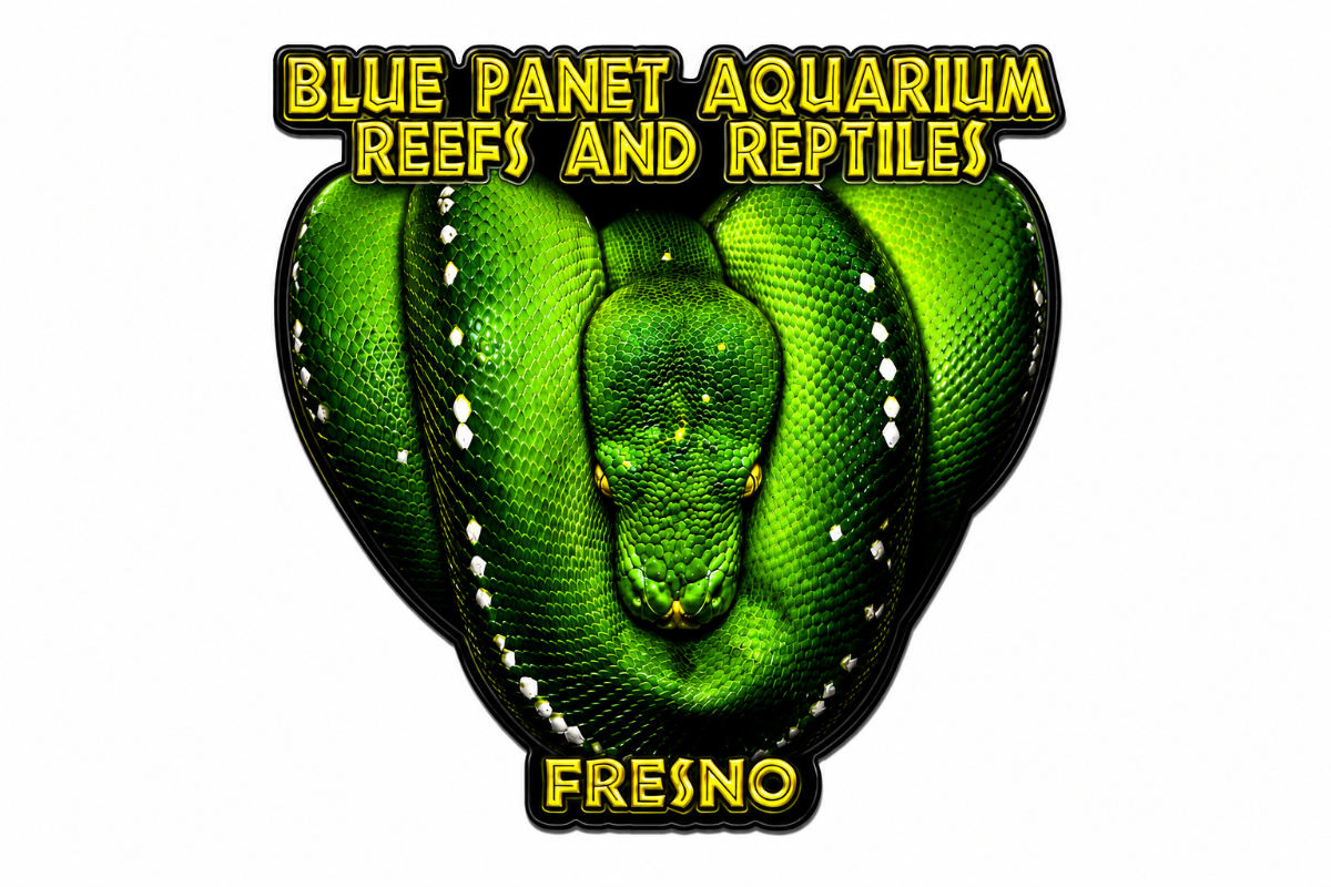 Blue Planet Aquarium